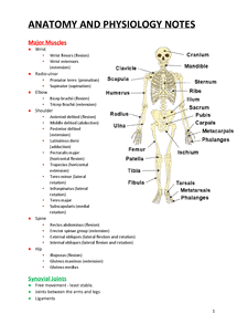 anatomy notes pdf