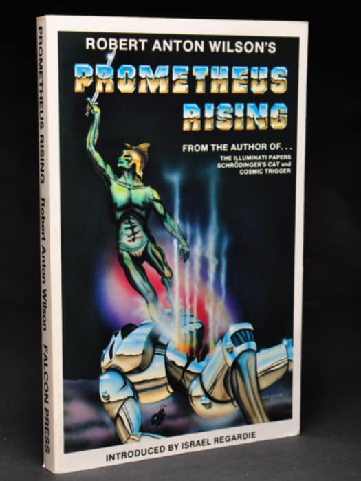 Prometheus Rising PDF