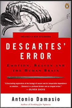 Descartes' Error PDF