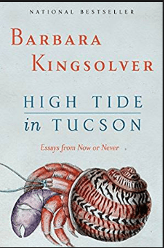 High Tide in Tucson PDF